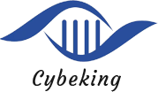 武汉爱赛恩斯生物技术有限公司